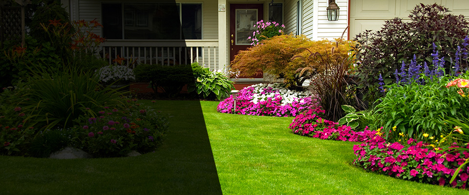 Pauline Landscapers