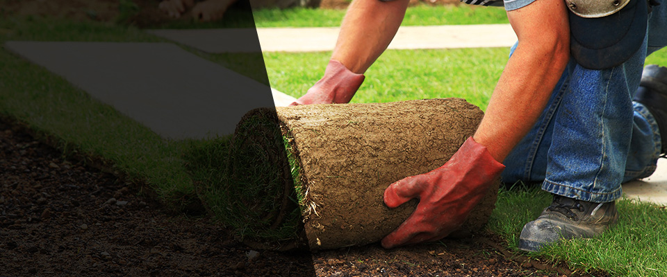 Pauline Landscapers